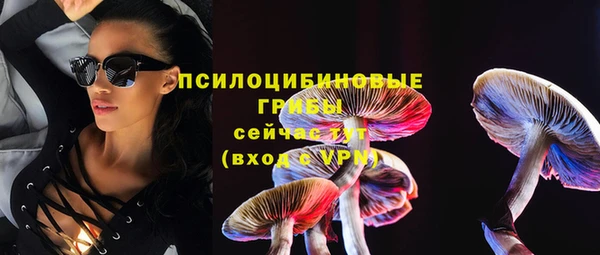 прущая мука Армянск