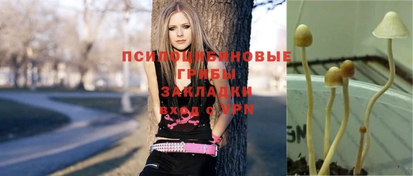 прущая мука Армянск