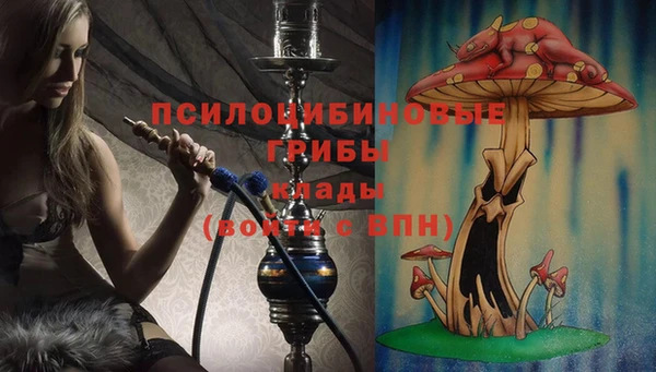 ECSTASY Арсеньев