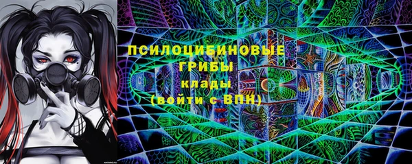 ПСИЛОЦИБИНОВЫЕ ГРИБЫ Аркадак