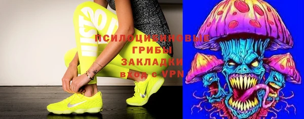 ПСИЛОЦИБИНОВЫЕ ГРИБЫ Аркадак