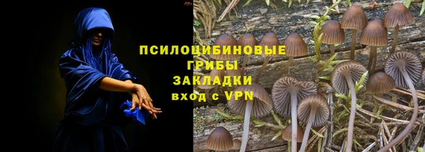 ПСИЛОЦИБИНОВЫЕ ГРИБЫ Аркадак